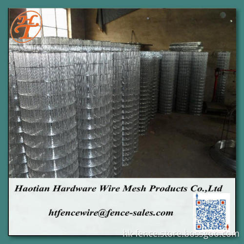 Galvanized welded wire mesh/22 gauge